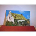 THATCHED COTTAGE, NORTHERN IRELAND used postcar...