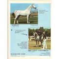 weiswater farm 1972 faroan brusally farnorsa ar...