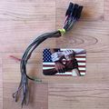 9 Wire 10 Terminal Wiring Pigtail Connector Aud...