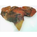 Petrified Wood 9 Natural Gemstone Slab Lapidary...