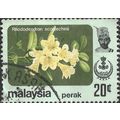 PERAK, MALAYSIA, FLOWERS, Rhododendron scortech...
