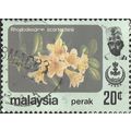 PERAK, MALAYSIA, FLOWERS, Rhododendron scortech...
