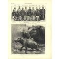 HIPPOPOTAMUS AND HER YOUNG ONE 1872 Johann Bapt...