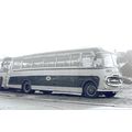 Black & White Photograph of Bee-Line Roadways L...