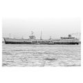 mc3597 - Norwegian Tanker - Skaumor - photo 6x4