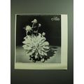 1970 Cybis Porcelains Ad - Cybis