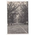 Clifton Grove Nottingham Postcard Pelham Series