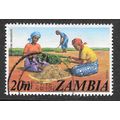 ZAMBIA 1975 HARVESTING GROUNDNUTS USED