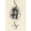 Signorina Giulia Ravogli, Opera Singer, Book Il...