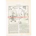 Southampton, Hampshire, Early Map, Victorian Bo...