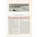 Disaster to The Greenland in the Frozen Sea, Vi...