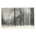 Winchester Cathedral And Avenue.