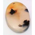 Montana Agate Freeform Gemstone Cabochon 87