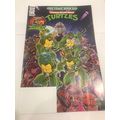 2023 Free Comic Book Day IDW Teenage Mutant Nin...