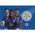 Panini's Premier League Football 2020 Stickers:...