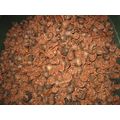Pecan shells for BBQ smoking pieces 10 pounds