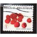 BEL 2007 (52c)(S/A) 'FRUIT- RASPBERRIES' FINE U...