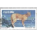 SOUTH WEST AFRICA, CAT, Caracal, Felis caracal,...