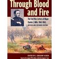 Interpreting The Civil War: Texts And Contexts ...
