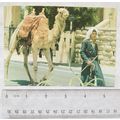 old postcard Jerusalem, Old City Street Scene