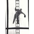 Window Cleaner Falling Of Ladder Real Photo Dis...