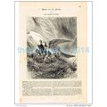 WOUNDED MOTHER, BOOK ILLUSTRATION/PRINT, 1877