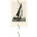 Winnibelle, Gaff Rigged Scandinavian Type Yacht...