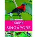 A Naturalist's Guide To The Birds Of Singapore