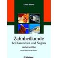Zahnheilkunde Bei Kaninchen Und Nagern