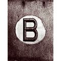 Belgicum