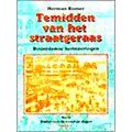 Temidden Van Straatgeraas