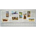 Complete set 50 Brooke Bond Wildlife in Danger ...