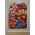 1939 Amateur Gardening illustration - Novelties...