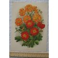 1939 Amateur Gardening illustration - Two of th...