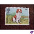 1979 GB Dogs Welsh Springer Spaniel unused mint...