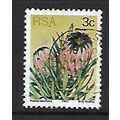 SOUTH AFRICA 1977 SUCCULENTS 3c P NERII FOLIA S...