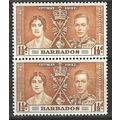 1937 SG 246 - MNH (**) - pair