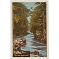 Valentine's postcard Fairy Glen, Betws-y-Coed, ...