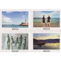 Going Fishing At Brixham Boats Fish 4x Devon Advert Postcard s
