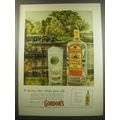 1960 Gordon's Gin Ad - In spring, when drinks grow tall