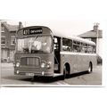 Black & White Photograph of Bristol Omnibus Co....