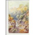 7074 Devon DARTMOOR Holne Chase Tuck Oilette Po...