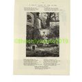 Shady Nook of the River, Illustrated Poetry, Bo...