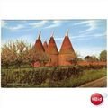 KENTISH OAST HOUSES KENT POSTCARD M0036