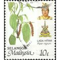 SELANGOR, Black Pepper, Piper Nigrum, white 198...