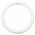 Fluorescent Tube Ligt Bulb 20113 - FC8T9/DCW/RP...