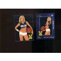 RENEE STONE 2005 BENCH WARMER -ROOKIE - VERY SE...