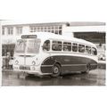 Black & White Photograph of Ribble Motor Servic...