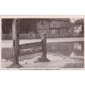 ED31 ALDBURY - OLD STOCKS AND WHIPPING POST. RP...