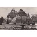 Wien Schonbrunn Palmerhaus Real Photo Postcard